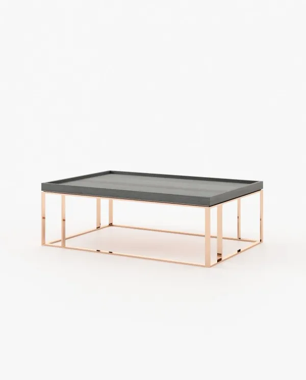 RAW Coffee Table Grey Eucalyptus Veneer Matte