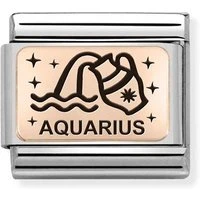 Rose Gold Aquarius Charm