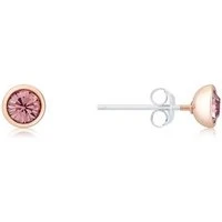 Rose Gold February Stud Earrings