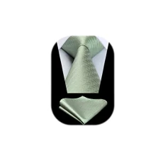 Sage Green Ties for Men Wedding Tie & Pocket Square Set Formal Business Necktie Handkerchief Herring