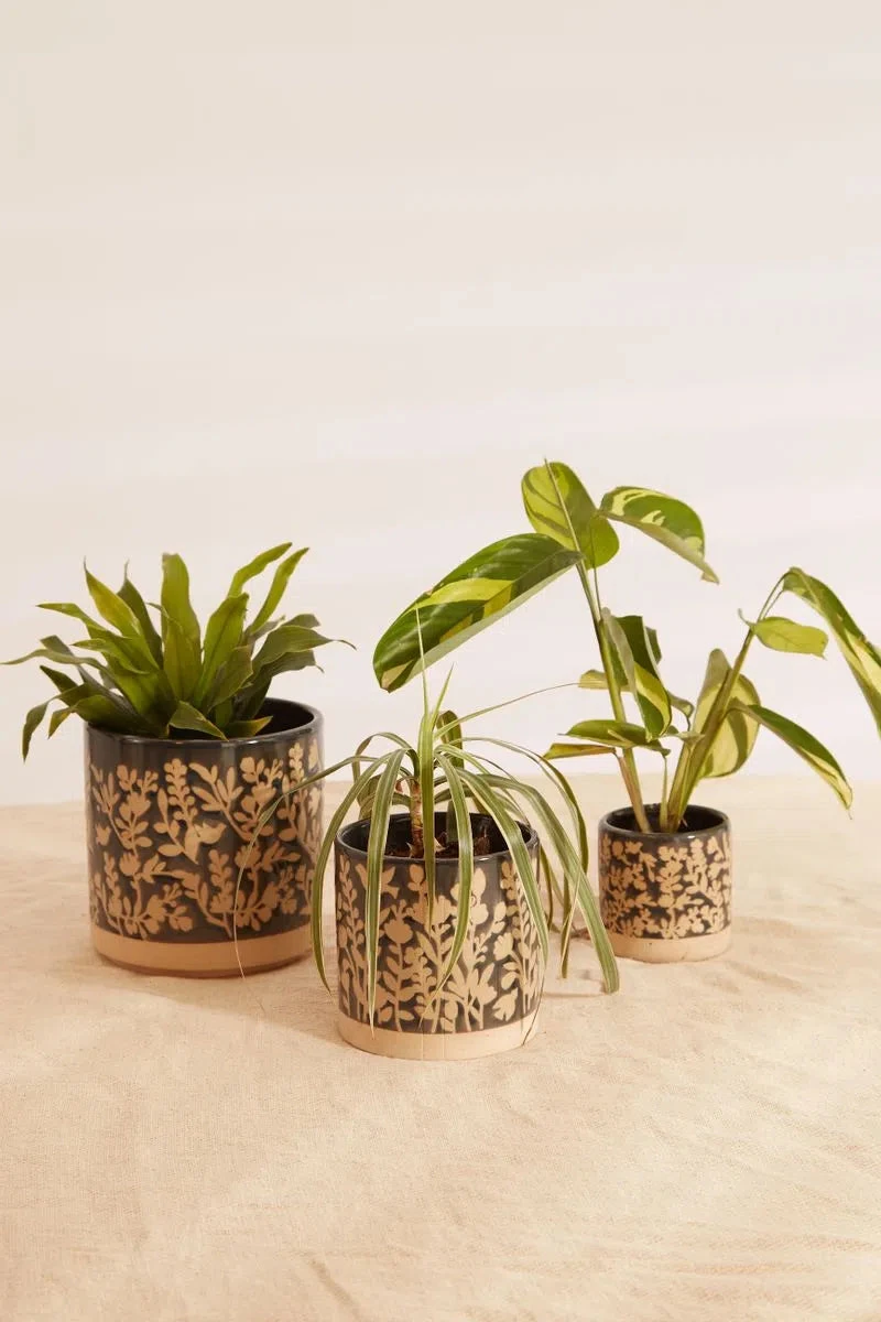 Set Of Floral Embossed Glazed Planters In Blue - 








  

  

  

  

  

  

  

  

  

  

  

  

  

  

  

  

  

  

  

  

  

  

  

  

  

  

  

  

  

  

  

  

  

  

  
    
    


   Blue


