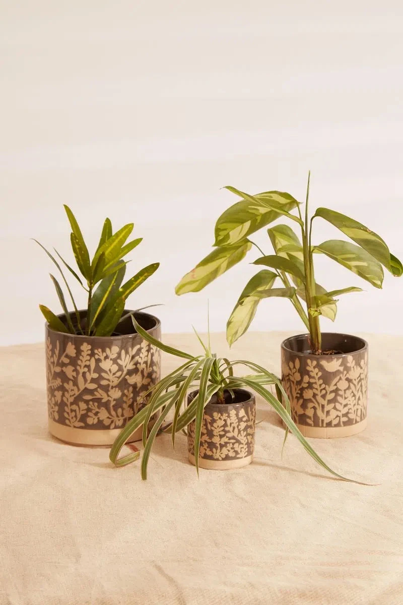 Set Of Floral Embossed Glazed Planters In Grey - 








  

  

  

  

  

  

  

  

  

  

  

  

  

  

  

  

  

  

  

  

  

  

  

  

  

  

  

  

  

  

  

  

  

  

  

  

  

  

  

  

  
    
    


   Grey

