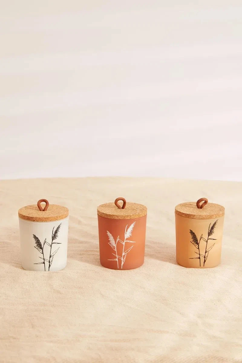 Set Of Pampas Grass Candles - 








  

  

  

  

  

  

  

  

  

  

  

  

  

  

  

  

  

  

  

  

  

  

  

  

  

  

  

  

  

  

  

  

  

  

  

  

  

  

  

  

  

  

  

  

  

  

  

  

  

  

  

  

  

  

  

  

  

  

  

  

  

  

  

  

  

  

  

  

  

  

  

  

  



  

