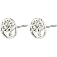 Silver Recycled Tree Of Life Earrings - Silver