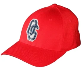 Skateboard FlexFit Cap OS, cap size:L/XL Skateboard FlexFit Cap OS, cap size:L/XL