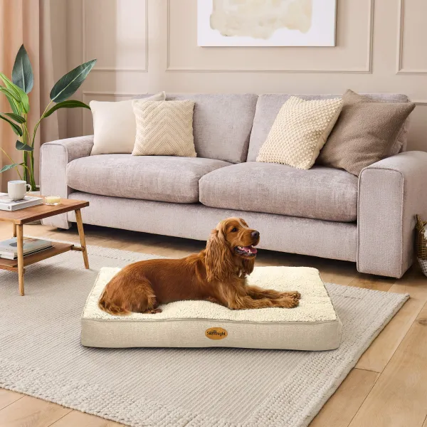Ultrabounce Pet Bed - Natural - Medium - Beige