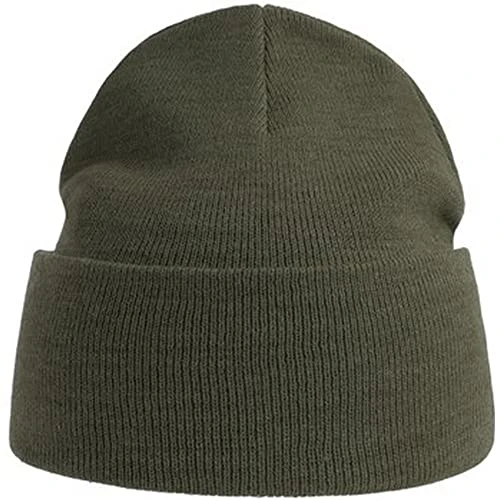 Unisex Adult Pure Recycled Beanie (One Size) (Olive)