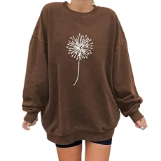 Women's Hoodie Hooded Women's Sweatshirt Loose Crew Neck Long Sleeve Casual Loose Pullover Top Zip Hoodie Oversized, brown, L