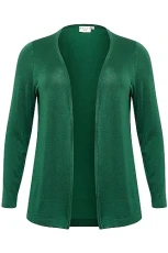 Women's Plus-Size Women's Open Cardigan Long Sleeves Regular Fit Cardigan Sweater, Aventurine,