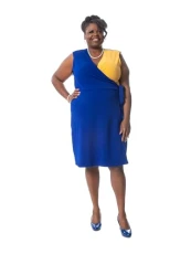 Womens V-Neck Knee-Length Wrap Dress, Royal Blue/Gold, S