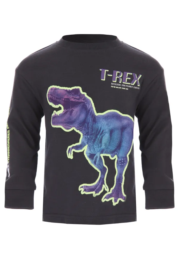 Younger Boys Charcoal T-Rex T-Shirt