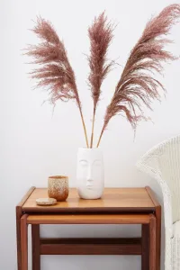 Stems of Blush Pink Pampas Grass - red Stems of Blush Pink Pampas Grass - red