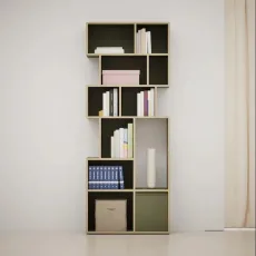 Bookcase in Moss Green with Drawers and Backpanels Bookcase in Moss Green with Drawers and Backpanels