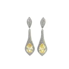 Chic Dangle Silver Earrings
