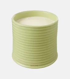 Cucumber Large candle Cucumber Large candle