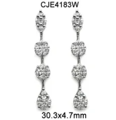 Dangling Silver Earrings