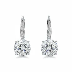 Delicate Silver Drop Earrings