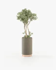 GOLD Planter & Pot Aged Oak Veneer Matte
