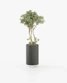 GOLD Planter & Pot Grey Eucalyptus Veneer Matte GOLD Planter & Pot Grey Eucalyptus Veneer Matte