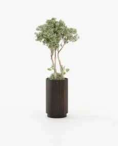 GOLD Planter & Pot Smoked Eucalyptus Veneer Matte GOLD Planter & Pot Smoked Eucalyptus Veneer Matte