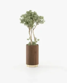 GOLD Planter & Pot Walnut Veneer Matte GOLD Planter & Pot Walnut Veneer Matte