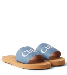 Logo slides