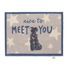 Meet You Washable Doormat