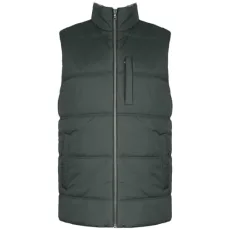 Men's Polar Fleece Gilet Outdoor, Green (Pine Tree 6fl), X-Small
