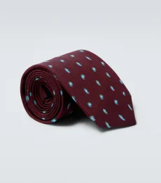 Paisley silk tie