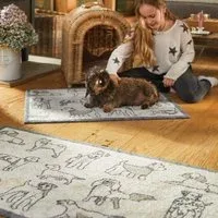 Pet 70 Dogs Grey Washable Doormat