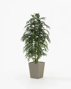POPPY Planter & Pot Aged Oak Veneer Matte POPPY Planter & Pot Aged Oak Veneer Matte