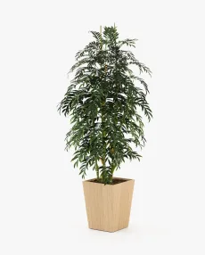 POPPY Planter & Pot Oak Veneer Matte POPPY Planter & Pot Oak Veneer Matte