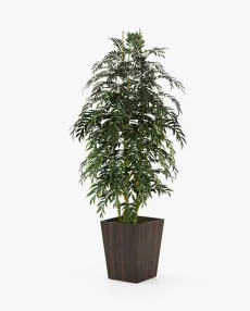 POPPY Planter & Pot Smoked Eucalyptus Veneer Matte POPPY Planter & Pot Smoked Eucalyptus Veneer Matte