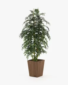 POPPY Planter & Pot Walnut Veneer Matte POPPY Planter & Pot Walnut Veneer Matte