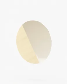 RAYNE Mirror Gilded Polished Stainless Steel