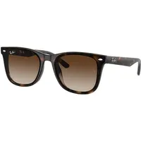 RB4420 71013 Sunglasses
