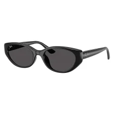 RB4457D 667787 Sunglasses