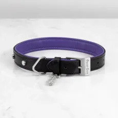 RPA-02772 Hand Crafted - Medium Dog Collar BlackPurple - Steel