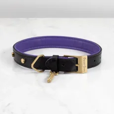 RPA-02775 Hand Crafted - X Large Dog Collar BlackPurple - Brass RPA-02775 Hand Crafted - X Large Dog Collar BlackPurple - Brass