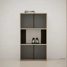 Shoe Rack in Black with Doors