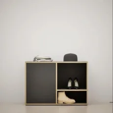 Shoe Rack in Black with Doors and Backpanels Shoe Rack in Black with Doors and Backpanels