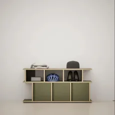 Shoe Rack in Moss Green with Doors Shoe Rack in Moss Green with Doors