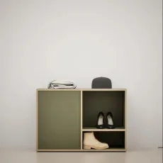 Shoe Rack in Moss Green with Doors and Backpanels