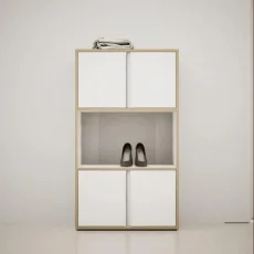 Shoe Rack in White with Doors