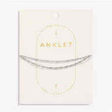 Silver Style Double Layer Twist Anklet - Silver Silver Style Double Layer Twist Anklet - Silver