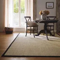 Sisal Light Beige with Black Border Rug