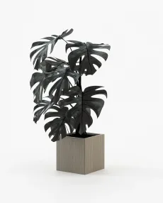 STELA Planter & Pot Aged Oak Veneer Matte STELA Planter & Pot Aged Oak Veneer Matte