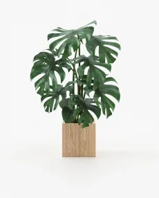STELA Planter & Pot Oak Veneer Matte STELA Planter & Pot Oak Veneer Matte