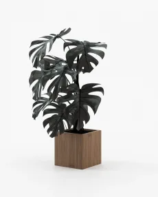 STELA Planter & Pot Walnut Veneer Matte