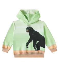 Sudadera en jersey de algodón Sudadera en jersey de algodón
